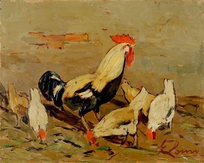 Gallo e Galline