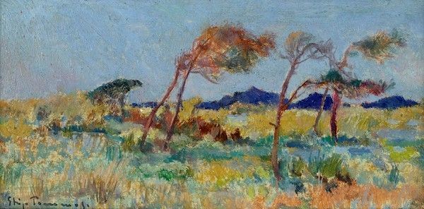 Ghigo Tommasi - Paesaggio