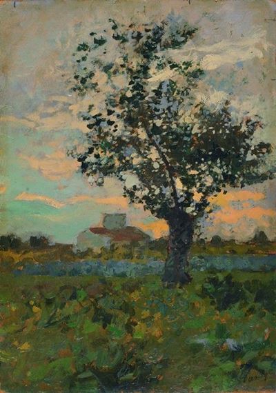 Albero