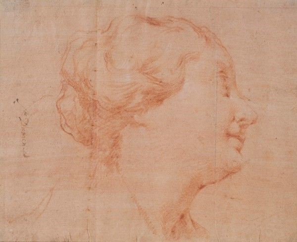 Achille De Dominicis : Profilo di donna  - Sanguigna su carta - Auction Autori dell'800-900, Grafica ed Edizioni - I - Galleria Pananti Casa d'Aste