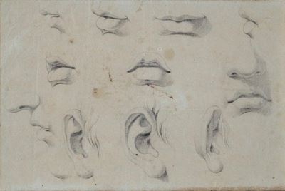 Studi Anatomici