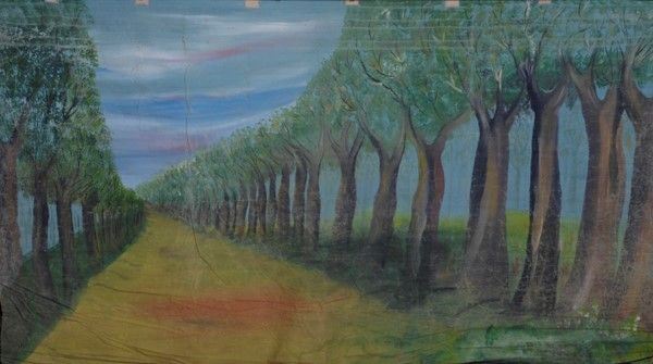 Bosco con strada