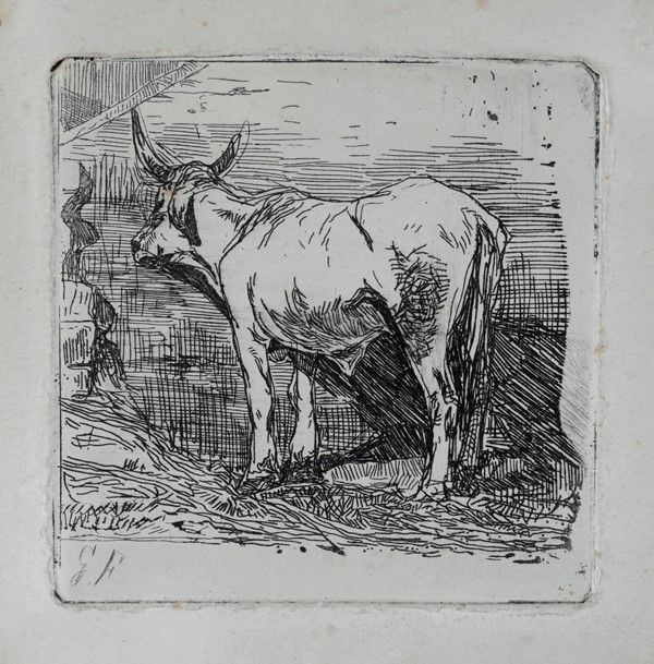 Giovanni Fattori : Mucca  - Acquaforte - Asta Autori dell'800-900, Grafica ed Edizioni - I - Galleria Pananti Casa d'Aste