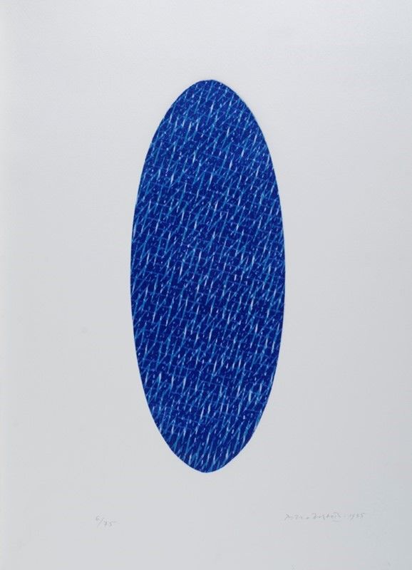 E. Carmi, P. Dorazio, A. Perilli, G. Turcato - La Cometa di Halley