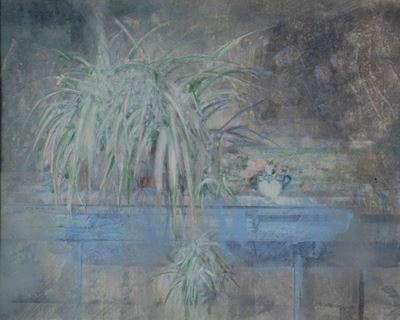 Terrazza
