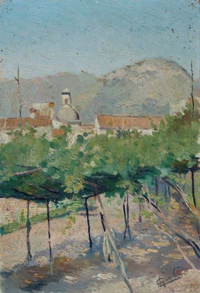 Vigneto