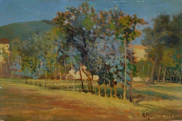 Romano Morando - Vigneto