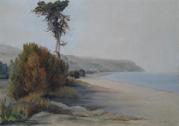 Andreola Vinci - Punta di Pedaso