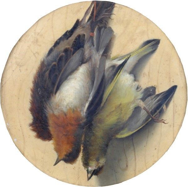 Michelangelo Meucci - Natura morta con uccelli