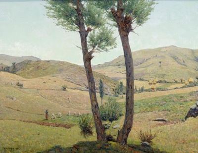 Paesaggio del Casentino