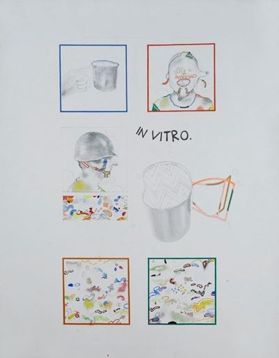 In Vitro