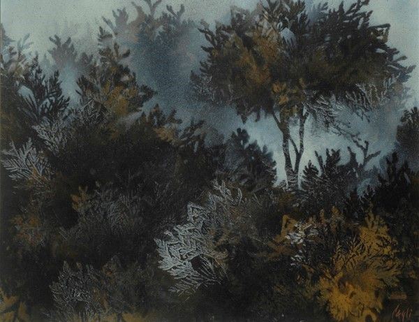 Corrado Cagli - Bosco