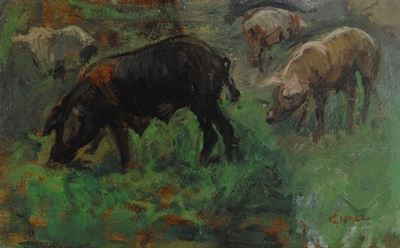 Scrofe