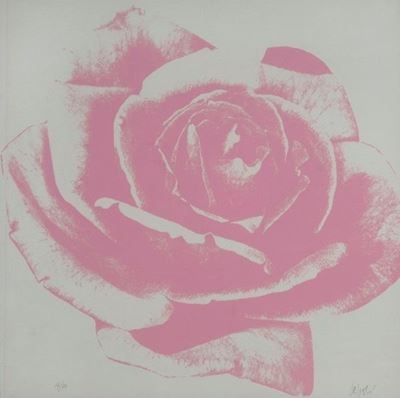 Rosa