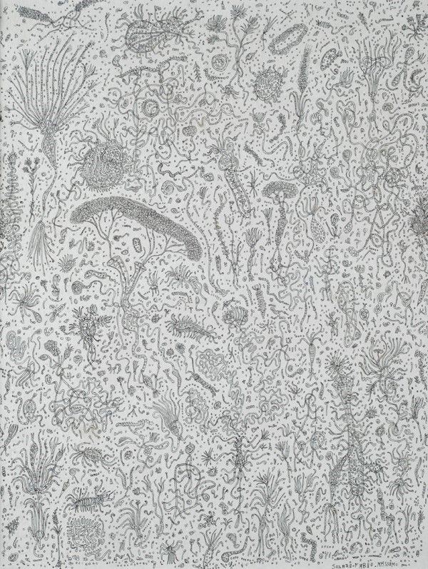 Fabio Massimo Solari - Vegetali
