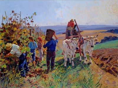 Vendemmia