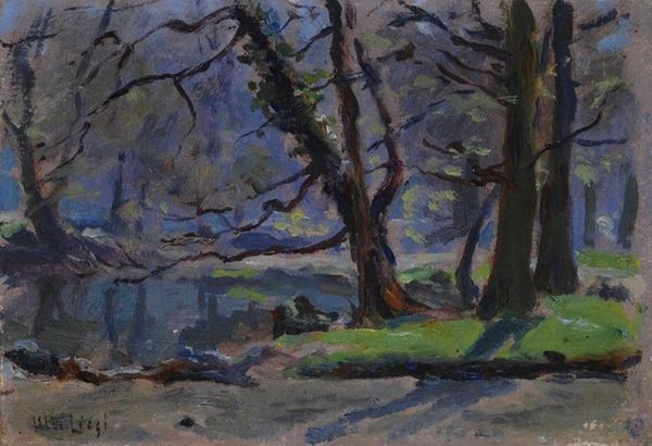 Ulvi Liegi : Alberi  - Olio su cartone - Auction Autori del XIX e XX sec., arte moderna e contemporanea - I - Galleria Pananti Casa d'Aste