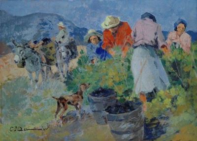 Vendemmia