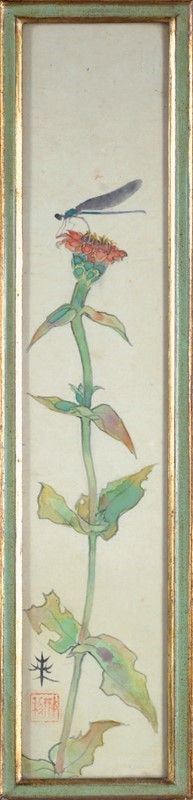 Libellula e fiore
