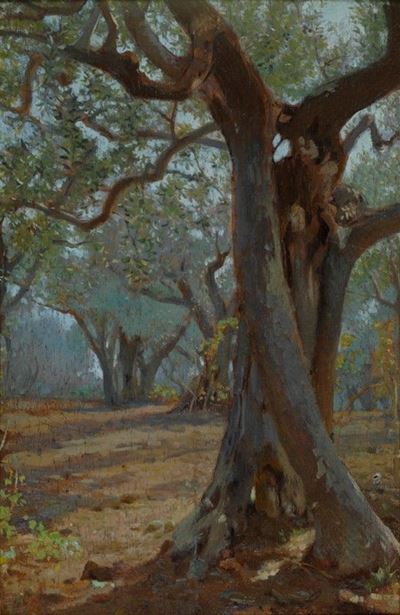 Alberi