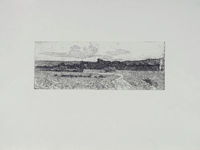 Paesaggio Maremmano