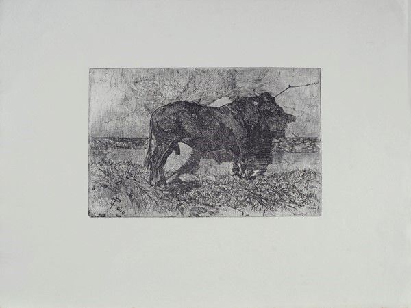 Giovanni Fattori - Il Toro