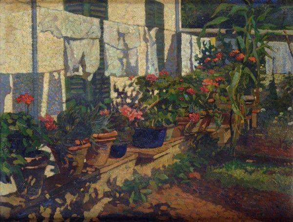 Enzo Ceccherini - Il mio giardino