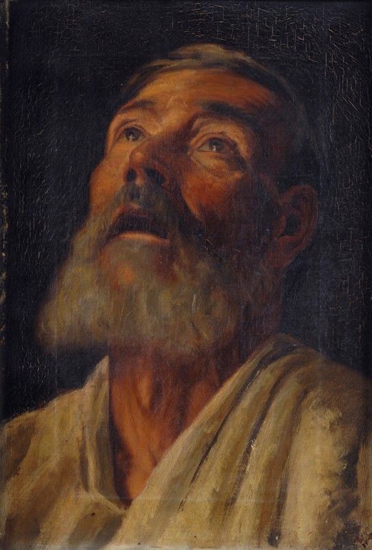 Anonimo, XIX Sec. - Testa di Vecchio