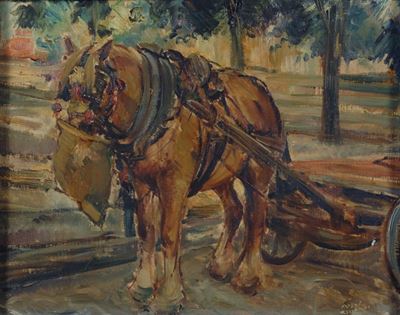 Cavallo