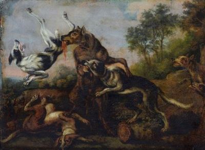 Lotta di Cani con Lupo