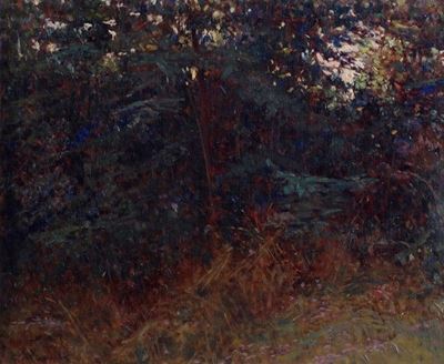 Angolo di Bosco