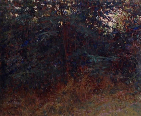 Giorgio Kienerk - Angolo di Bosco
