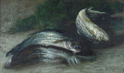 Natura Morta con Pesci