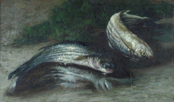 Gennaro Bottiglieri : Natura morta con pesci  - Olio su tela - Asta Autori dell'800-900, Arte moderna e contemporanea - I - Galleria Pananti Casa d'Aste