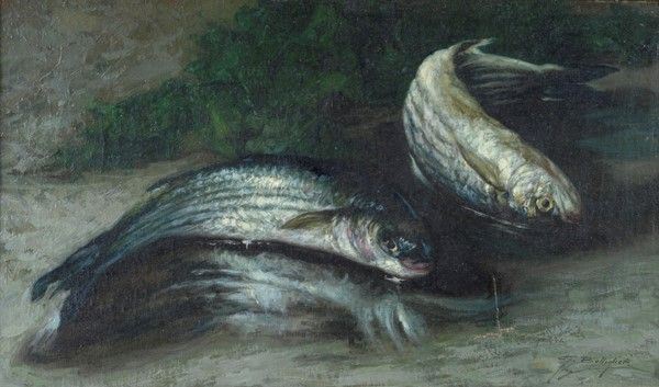 Gennaro Bottiglieri - Natura Morta con Pesci