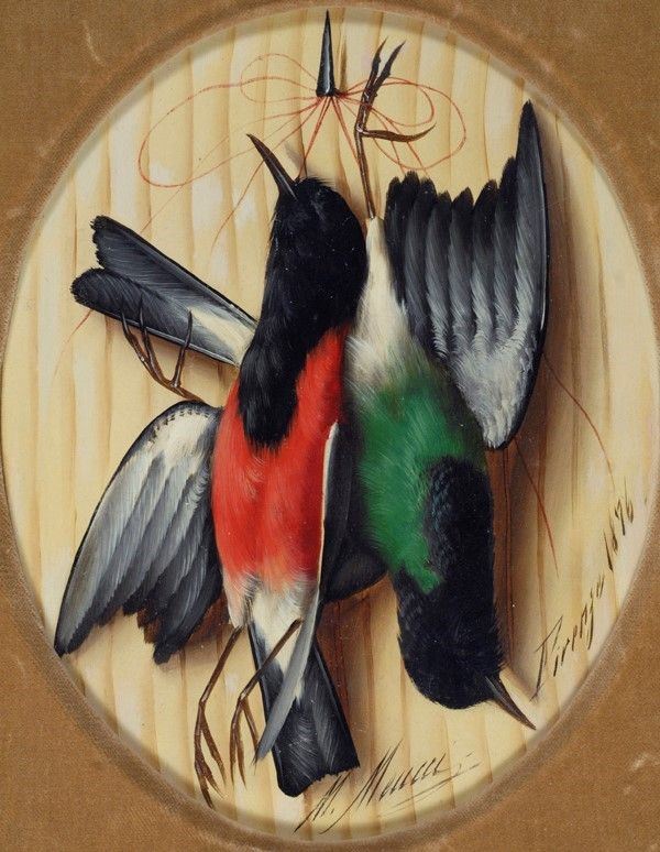 Michelangelo Meucci - Uccelli