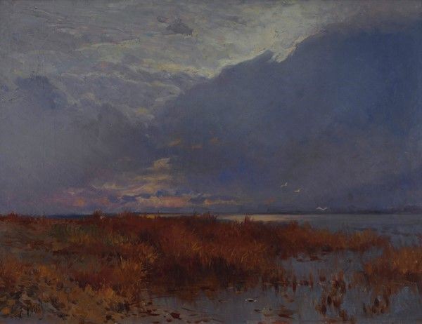 Filiberto Petiti - Palude in Maremma