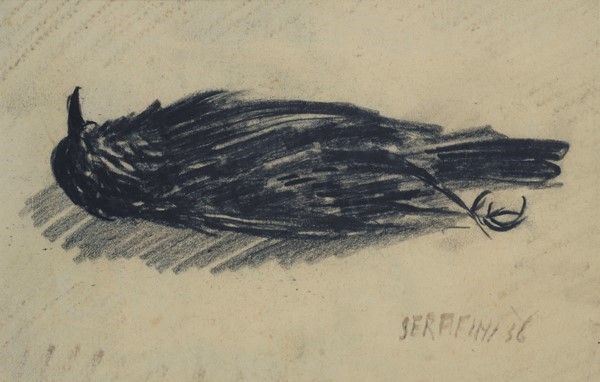 Giuseppe Serafini : Il merlo  (1936)  - Carboncino su carta - Asta AUTORI DEL XIX E XX SEC - Galleria Pananti Casa d'Aste