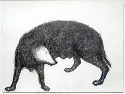 Lupa