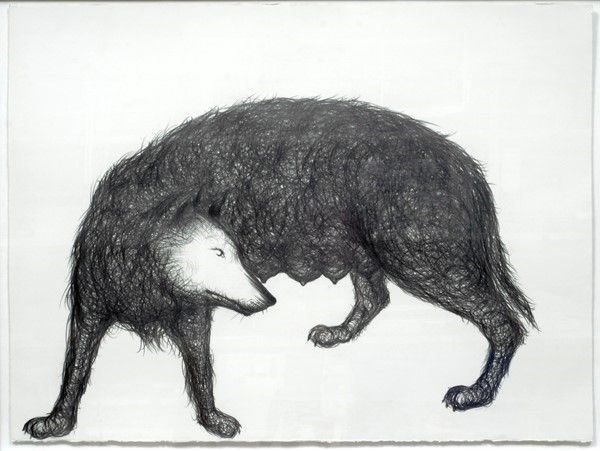 Paolo Canevari - Lupa