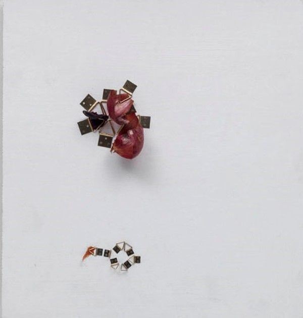Bruna Esposito : In teca  (2011)  - Legno, ottone, vetro, colori, acrilici, bucce di cipolla dorata e rossa di Tropa - Asta Arte di ricerca per la ricerca - Galleria Pananti Casa d'Aste