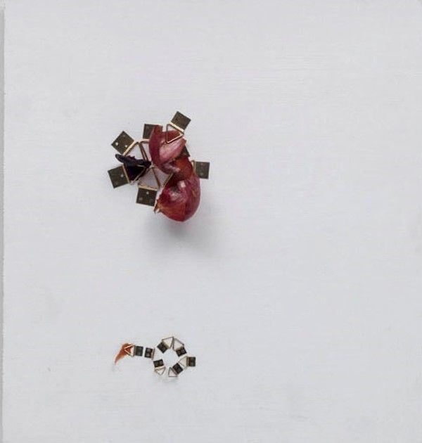 Bruna Esposito - In Teca