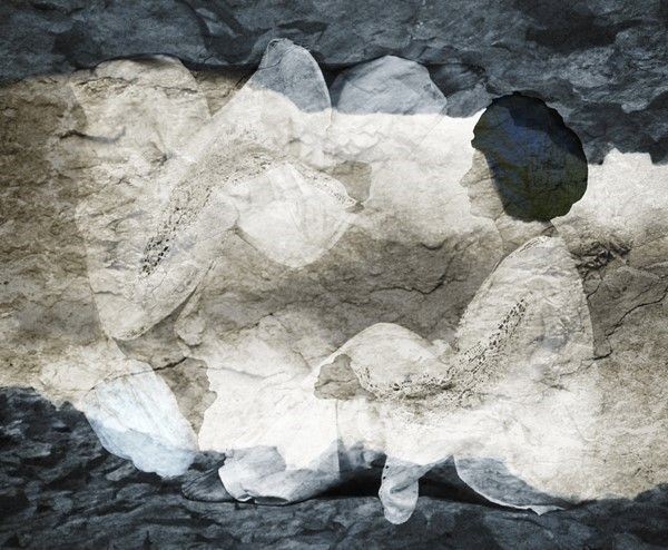 Brunella Longo - Metope 2
