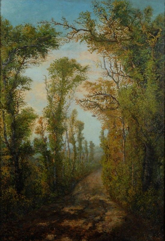 Anonimo, XIX sec. - Sentiero tra gli alberi
