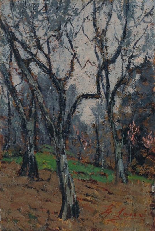 Giovanni Lomi - Ulivi in Primavera