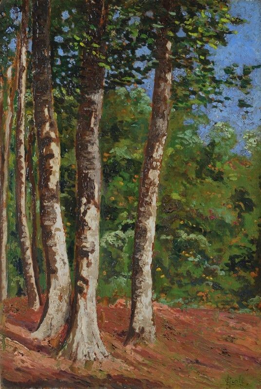Luigi Gioli - Alberi