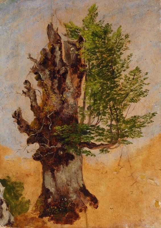 Carlo Senior Mark&#242; - Studio per albero
