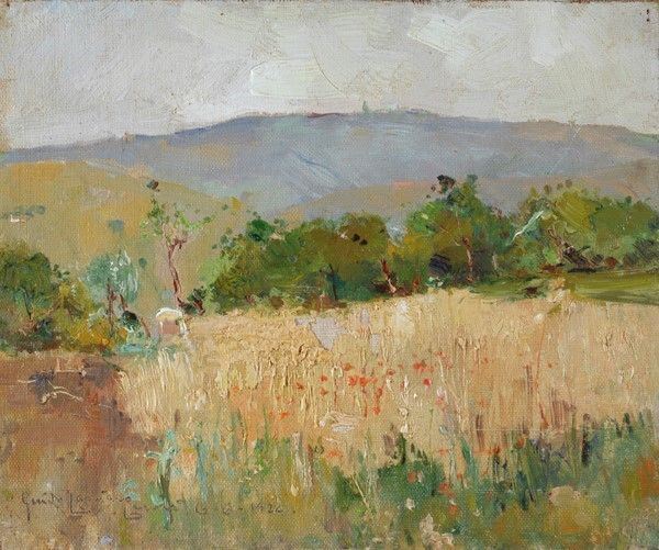 Guido Casciaro - Campo di papaveri
