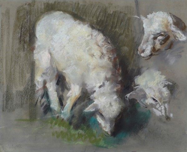 Vincenzo Caprile : Studio di pecore  - Carboncini su carta - Asta Autori del XIX e XX sec. - I - Galleria Pananti Casa d'Aste