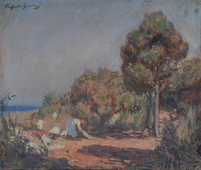 Raffaele Gambogi - Solleone